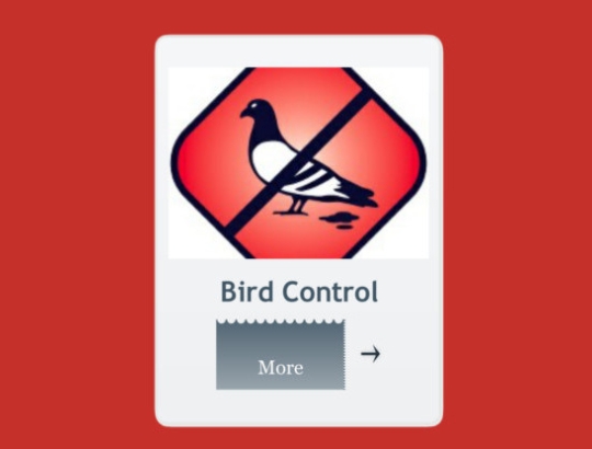bird control