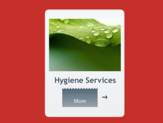 hygiene services