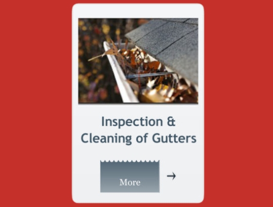 inspection & cleaning of gutters